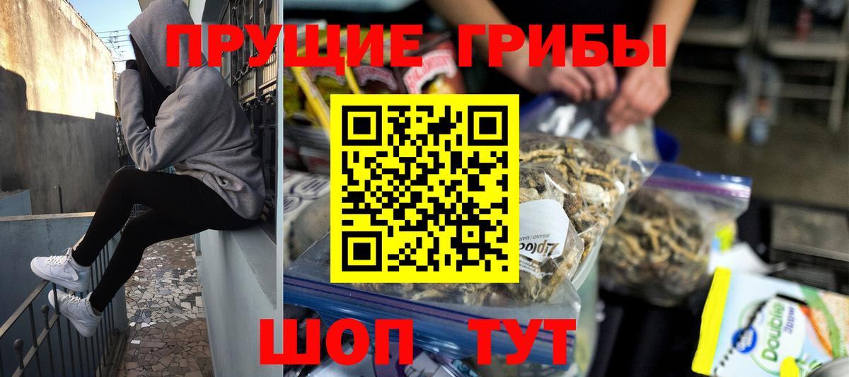 Псилоцибиновые грибы ЛСД  Вход с VPN  Аргун 