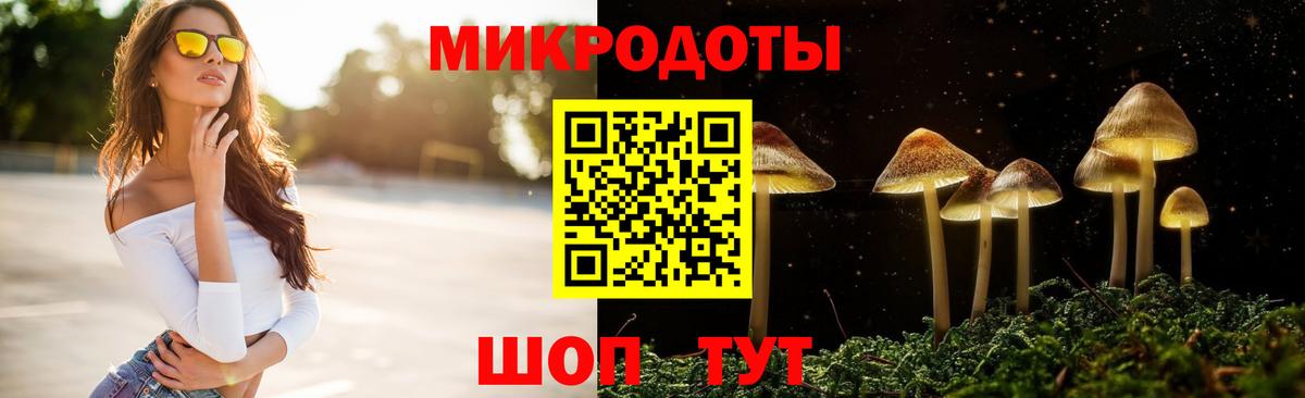 Галлюциногенные грибы Magic Shrooms Аргун