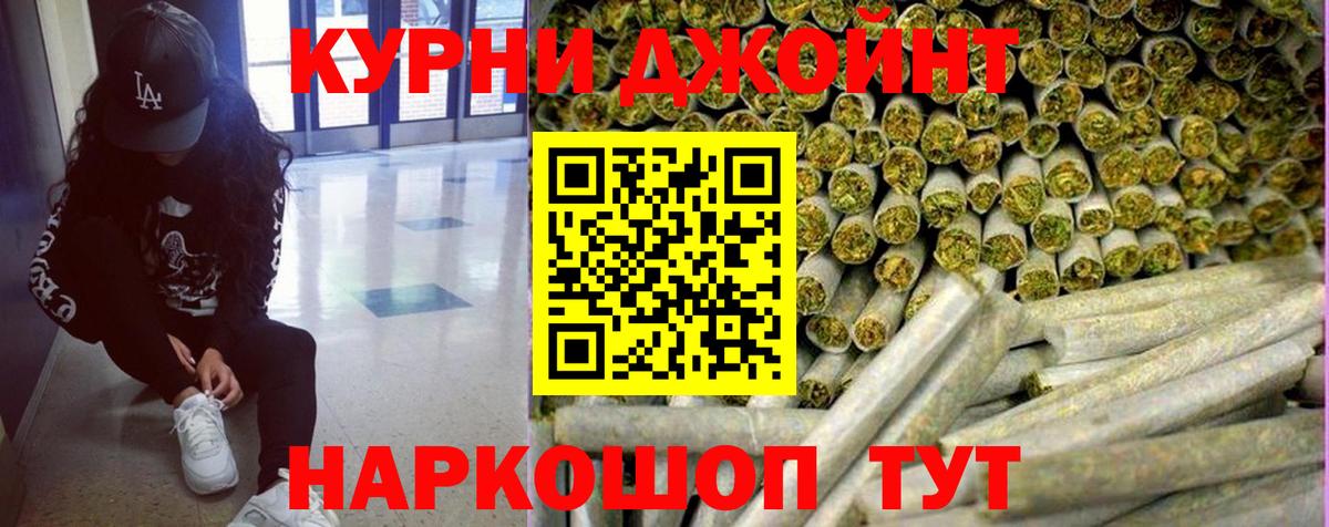 Бошки Шишки план Аргун